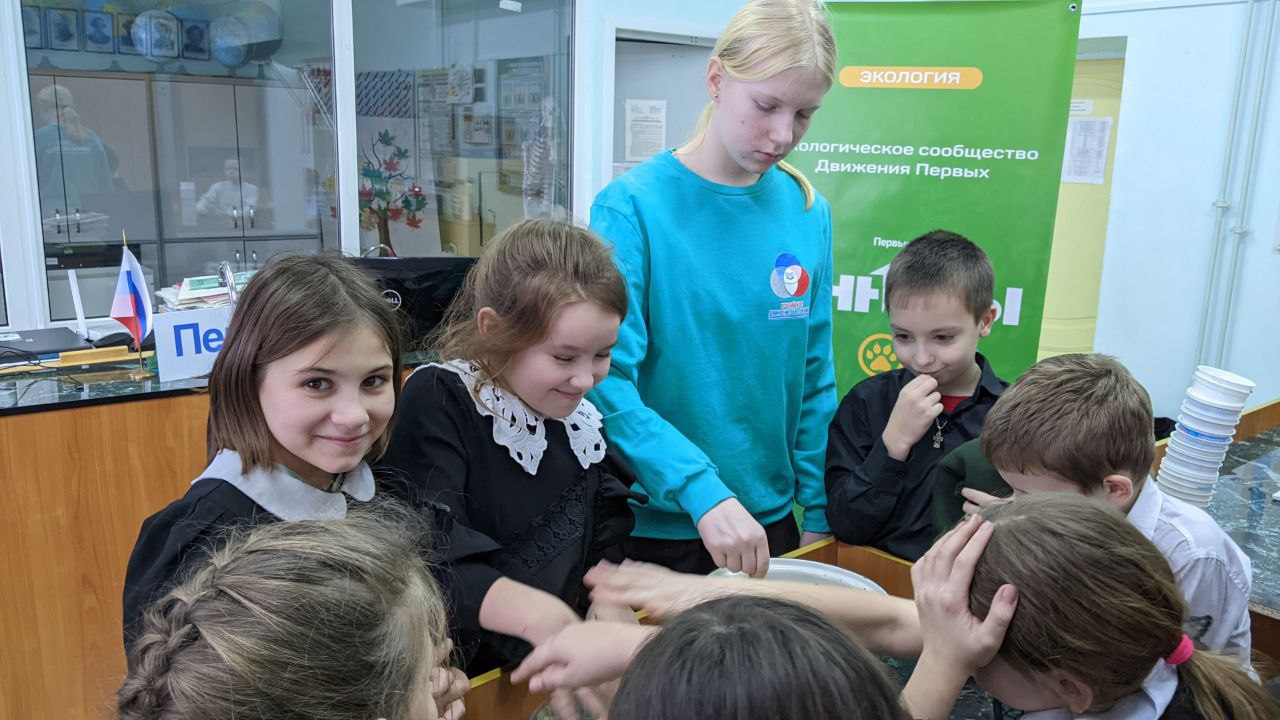 Кормушки 1.jpg