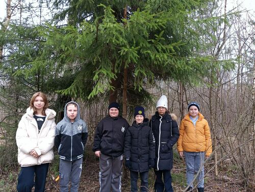 Photo 2025-04-01 08-03-41.jpg