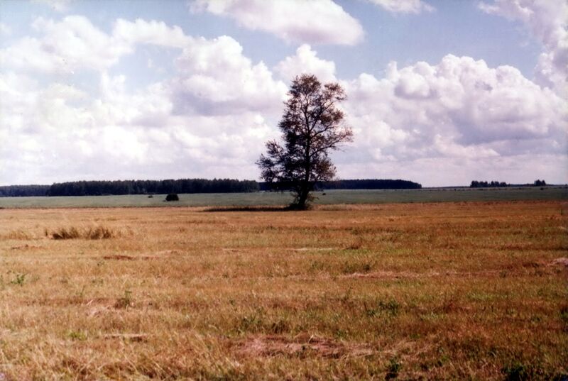 Файл:03 На месте д. Лесжени. Август 2003 г..jpg