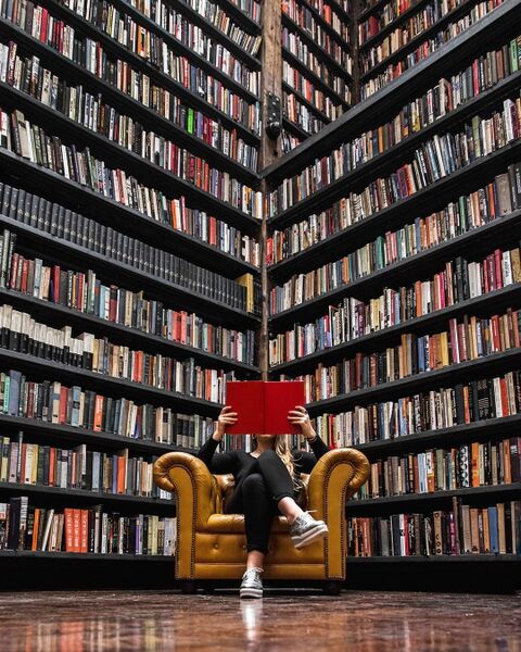 Файл:Любители литературы.jpg