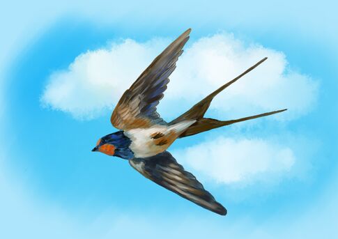 F 4075b573e39ba524.jpg