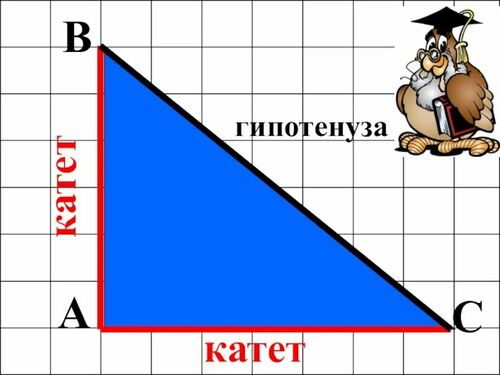 Узы гипотенузы.jpg