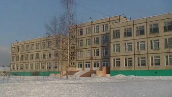 Школа3 гусь.jpg