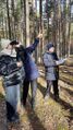 Колпица На маршруте - смешанный лес.jpg
