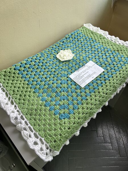 Файл:Плед - Умнова Алина (2)-min.jpg